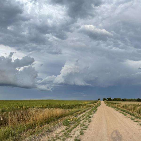 Storm