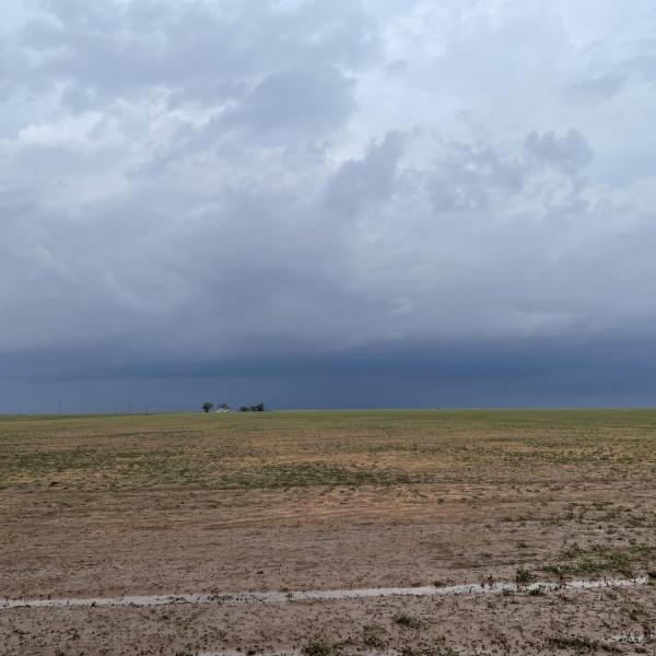 Storm