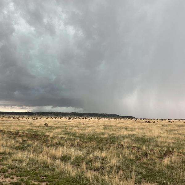 Storm