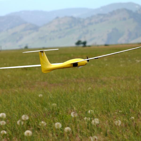 Low flying Tempest
