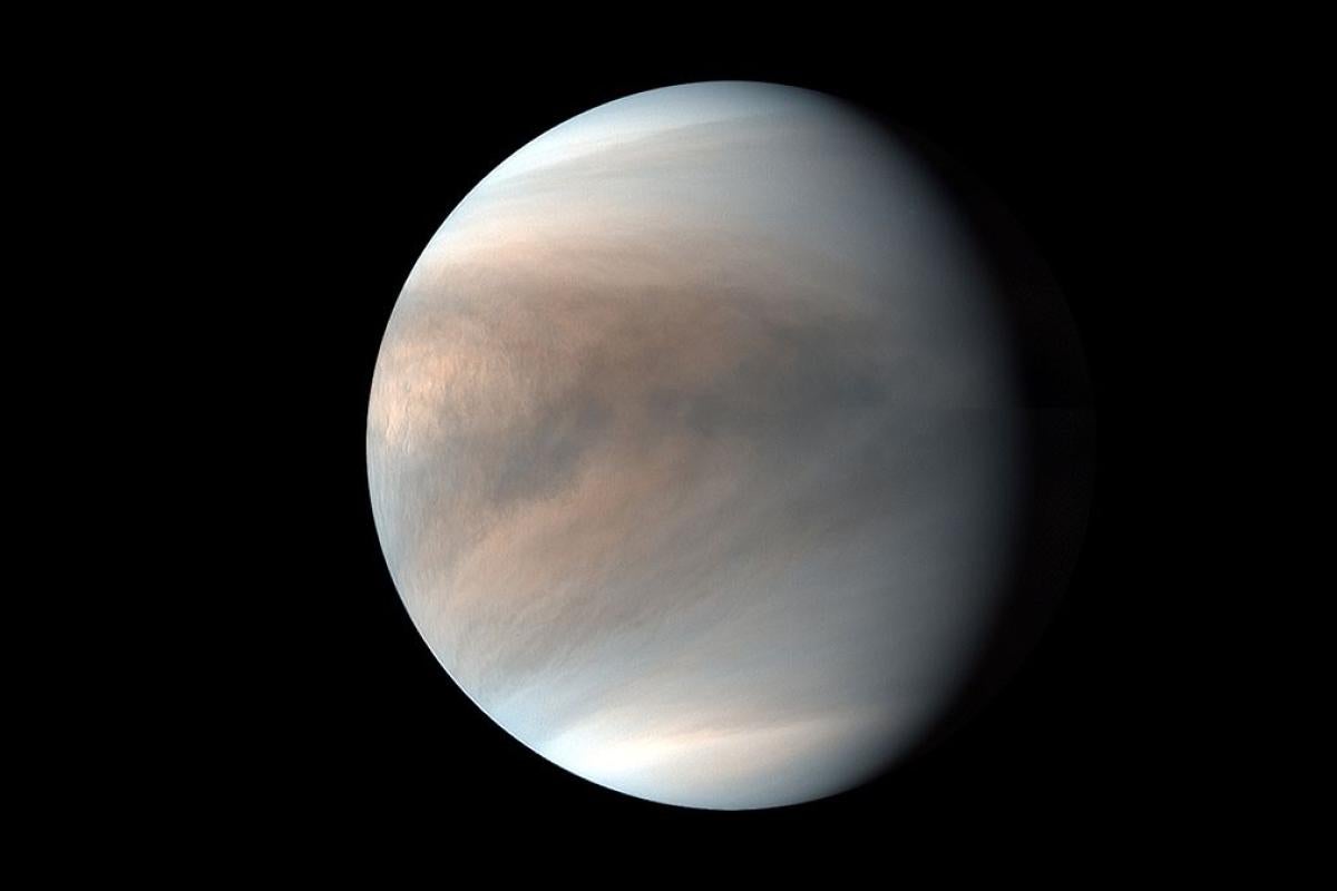 Venus