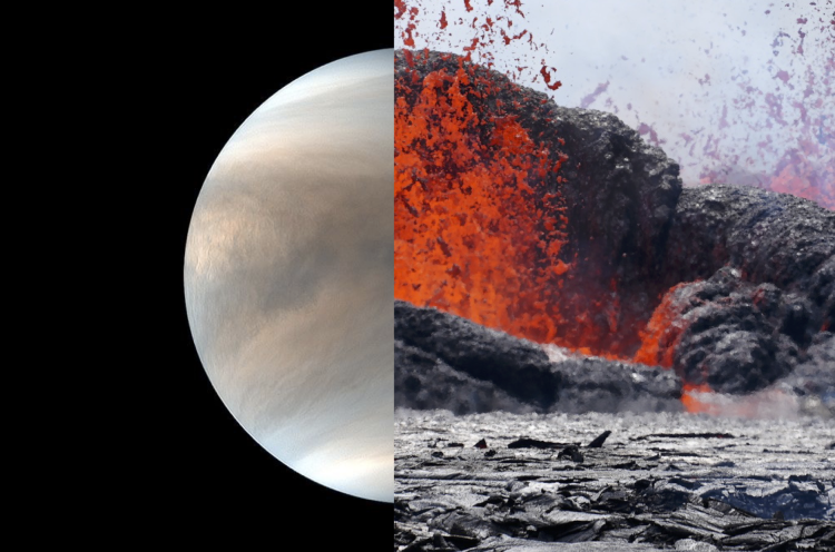 Venusian project