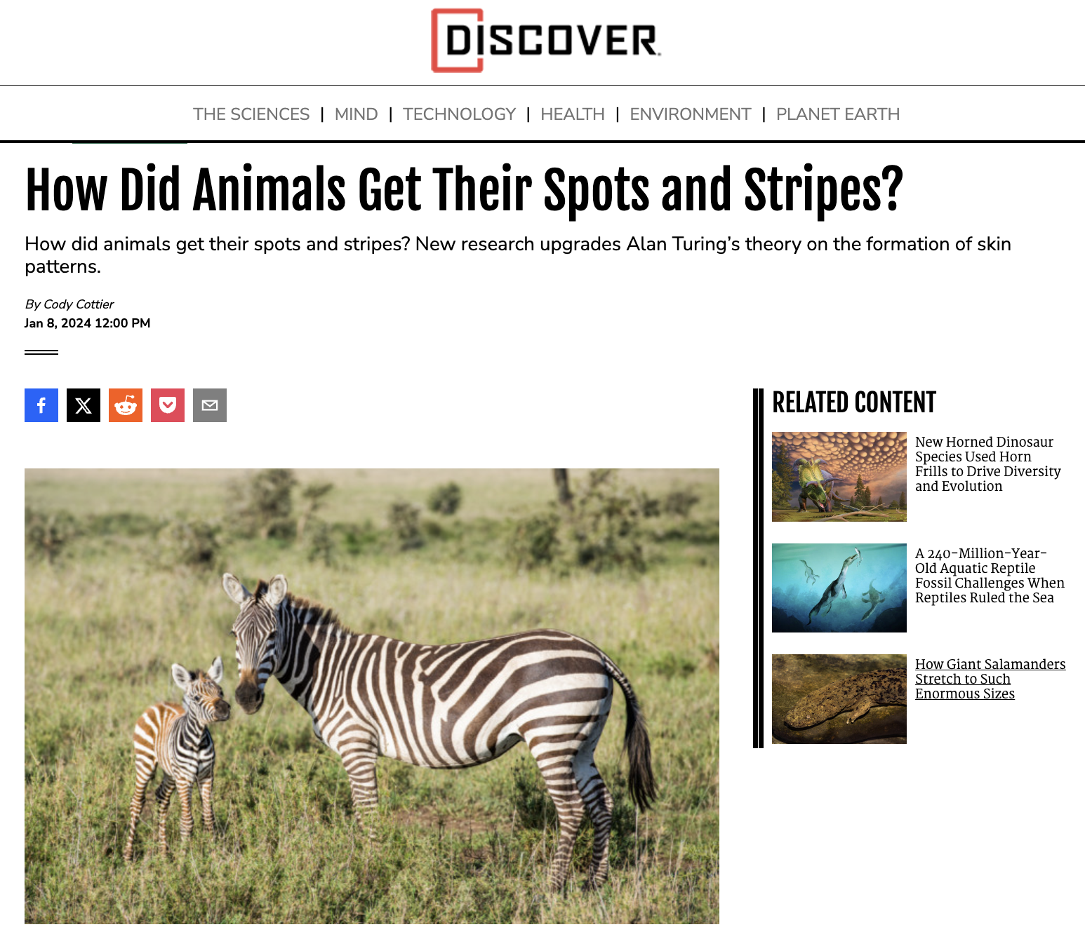 Discover