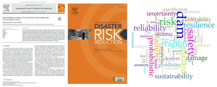IJDRR_review