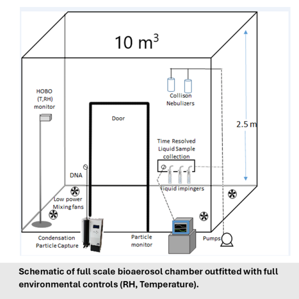chamber layout