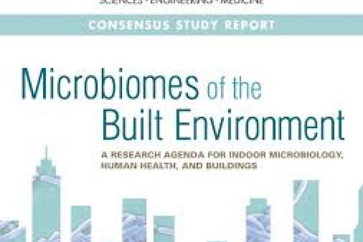 Microbiome of the build environment.