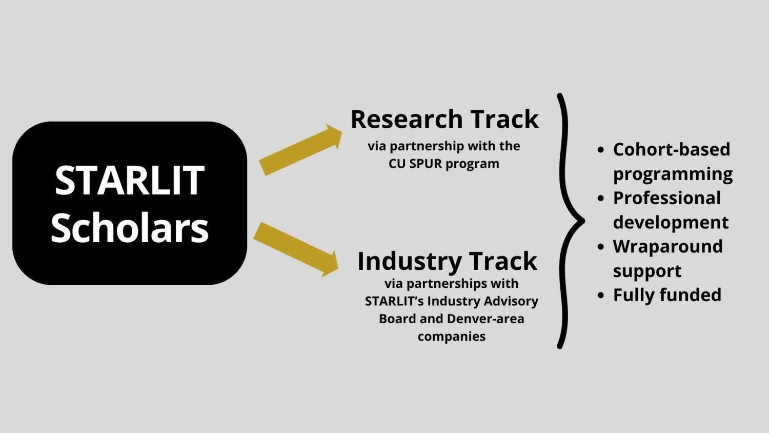Flow diagram illustrating the dual-track STARLIT Scholars program.