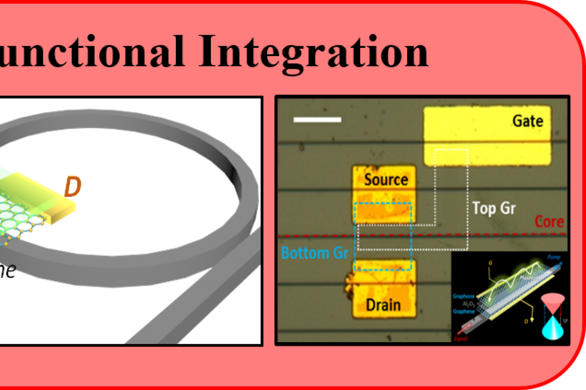 Functional Integration