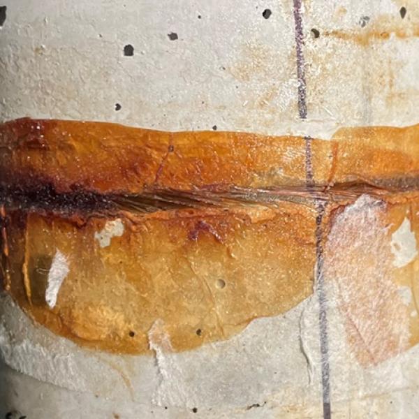 taped concrete