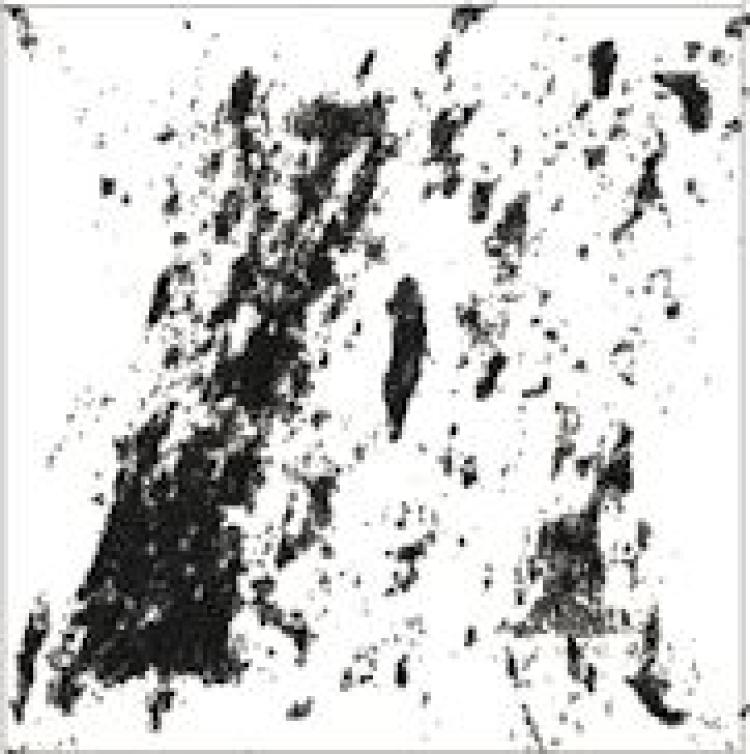 Rock porosity in 50 micrometer volume