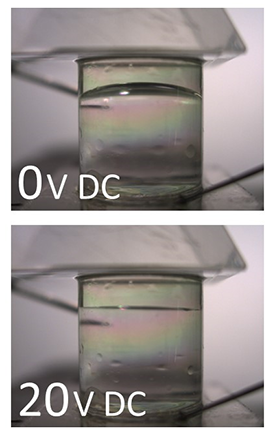 An optical shutter showing the differences at 0 and 20 volts