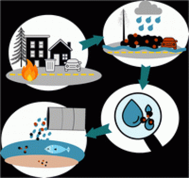 Graphical abstract illustrating run-off after a wildfire