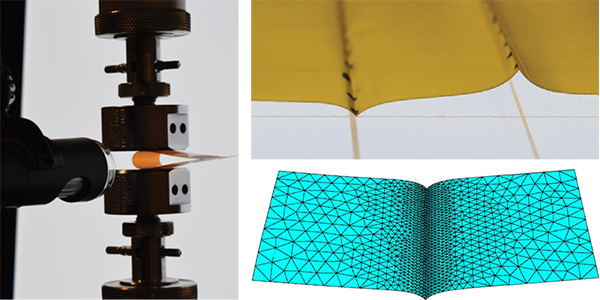 Examples of research on the creasing of thin membranes