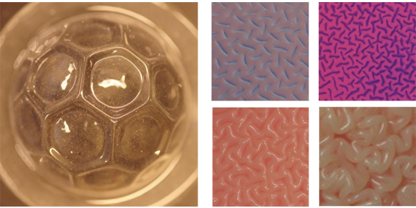 Examples of research of instability driven pattern formation on thin films