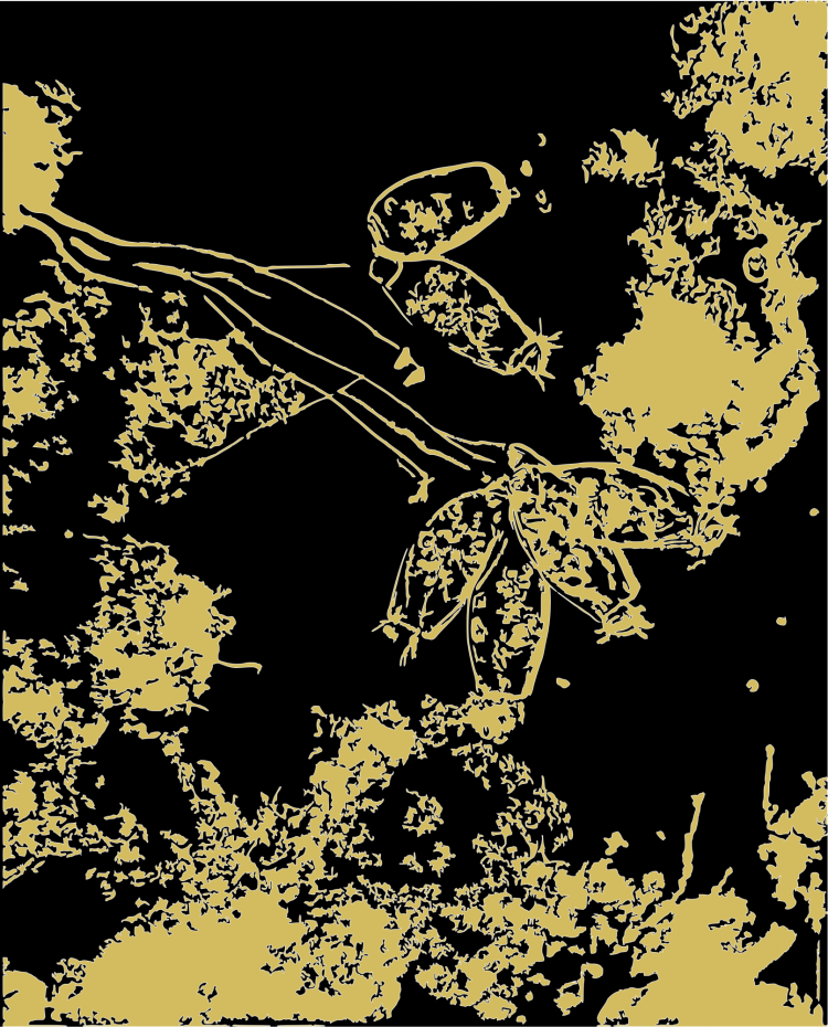 Gold outlines that look like leaves.