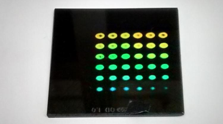 Array of interference lithography structures