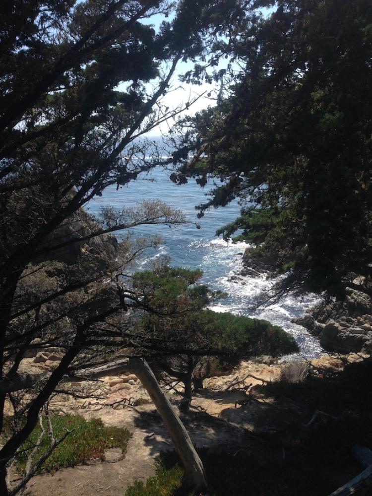 Asilomar 2016