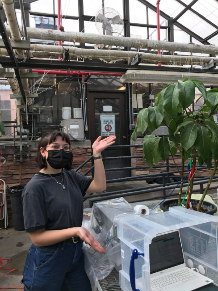 Brenna in the greenhouse with a sensor implanted into a living plant
