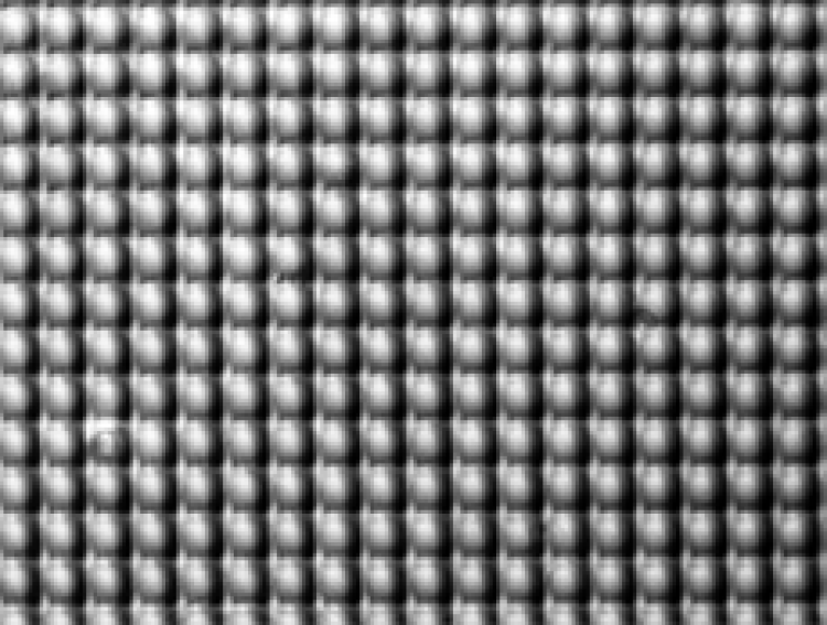 Rectangular Waveguide Array