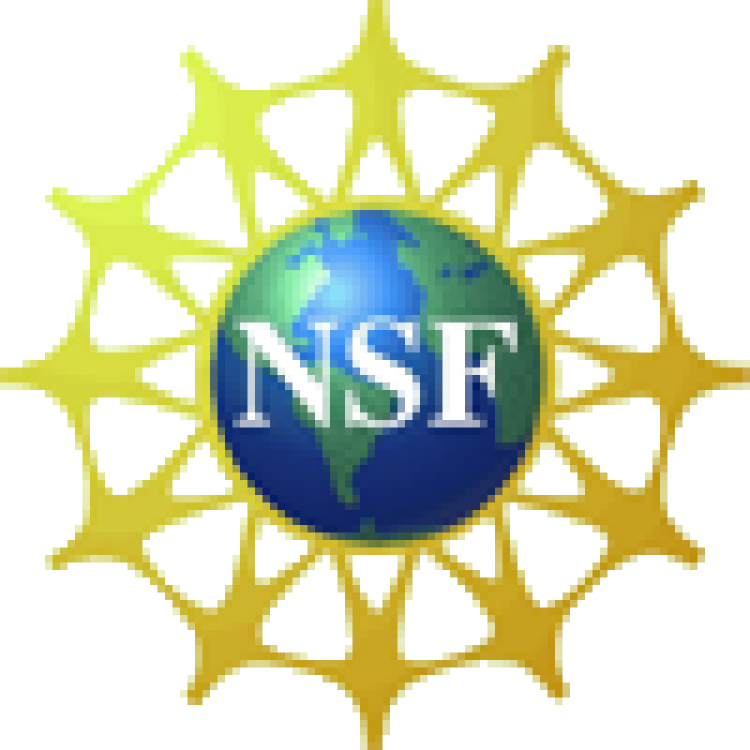 National Science Foundation Logo