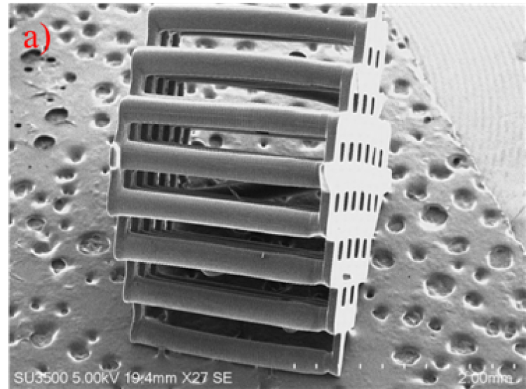 SEM of printed scaffold