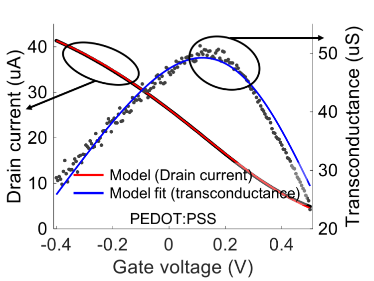 OECT transconductance