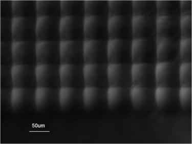 Differential interference contrast microfraph of a 1mm thick polymer GRIN lens array