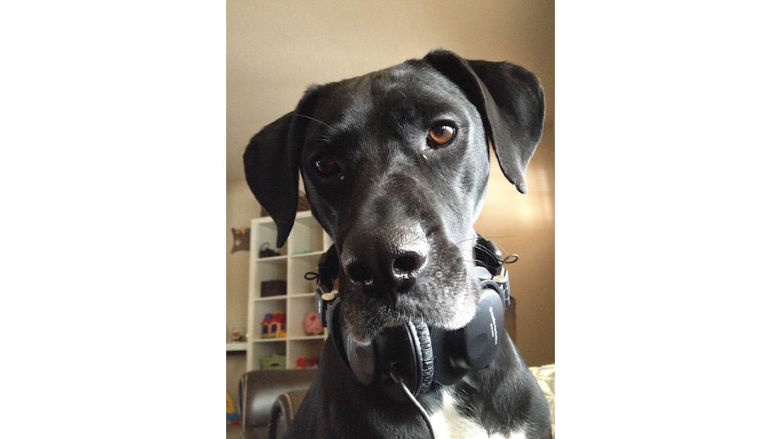 Kona