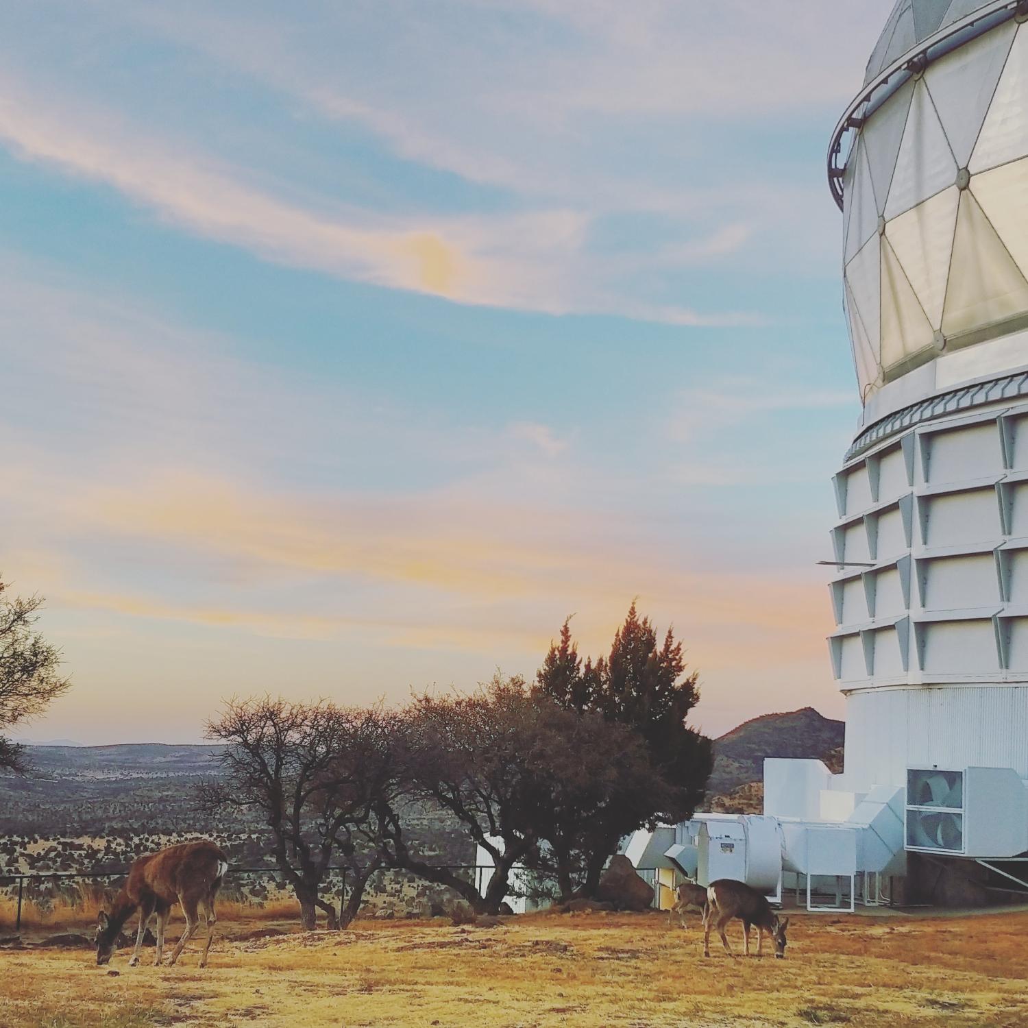 Hobby-Eberly Telescope
