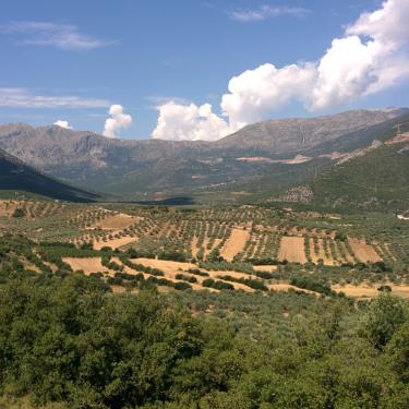 A landscape photo of the upper Inachos valley, with Mt Artemision in the background