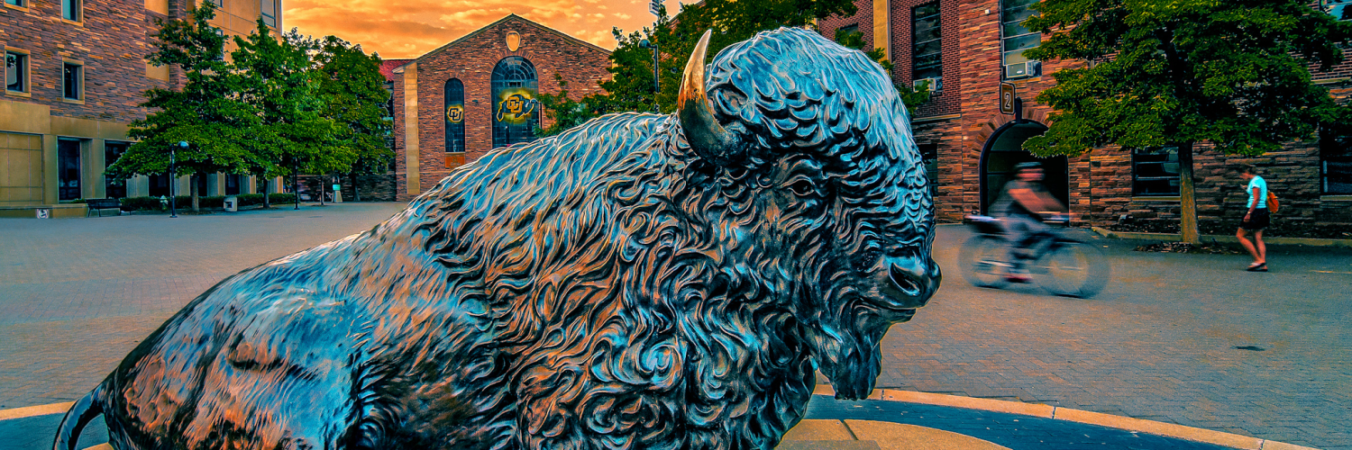 Buffalo statue