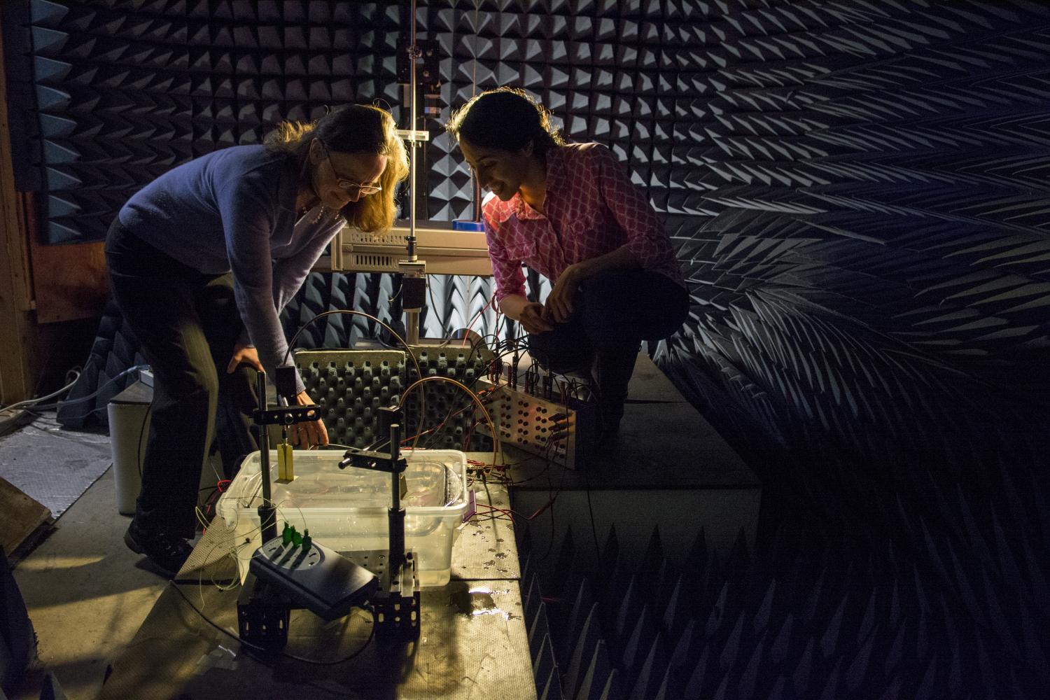 Zoya and a student discuss an experiment in the lab's anechoic chamber