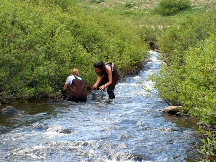 graham and bui collecting sediment