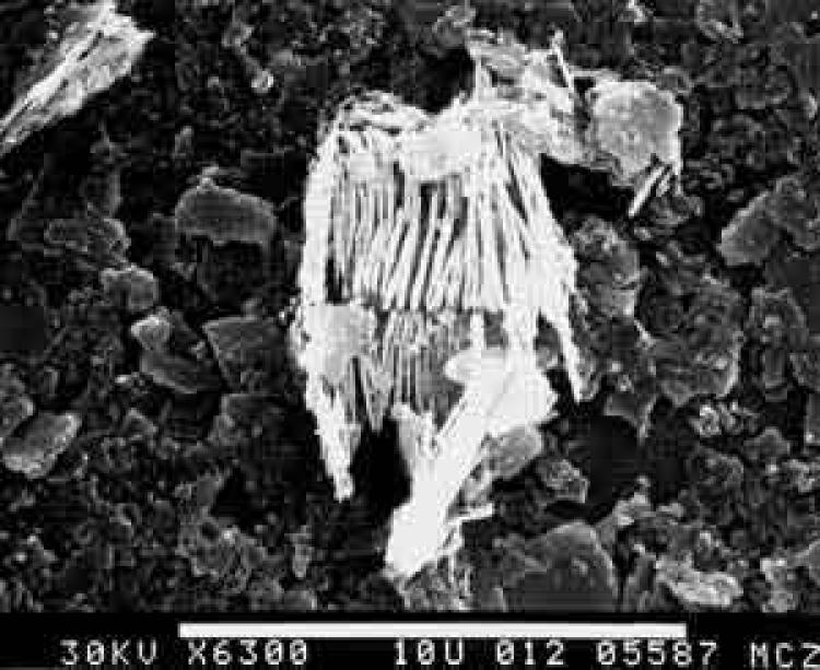 colloids from cohansey sand