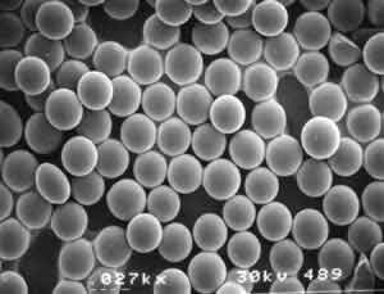silica beads
