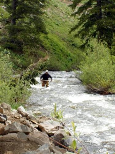 joe ryan wading the creek to collect samples