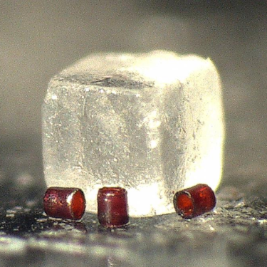 Shaped magnetogel particles sitting next to a single grain of salt