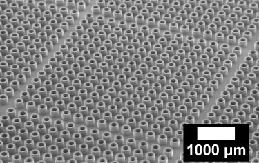 Array of hollow cylinders etched out of a silicon substrate.