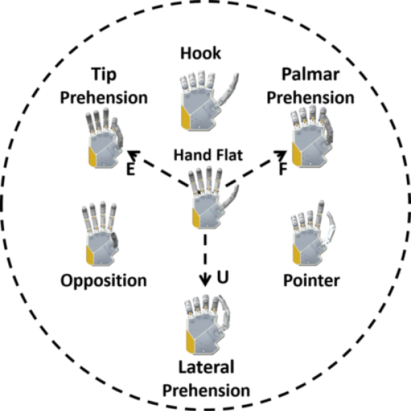 6 hands in a circle with one in the center. They demonstrate different hand positions.