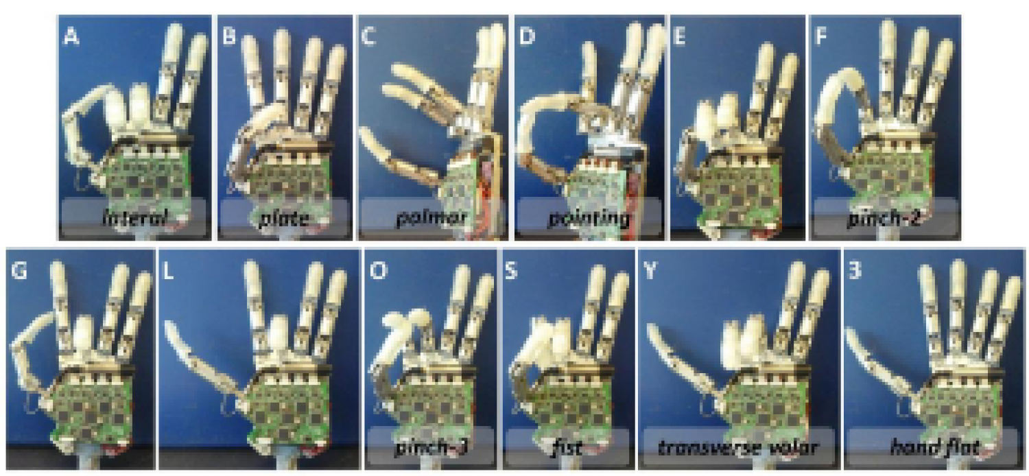 12 images of a prosthetic hand demonstrating different sign language shapes.