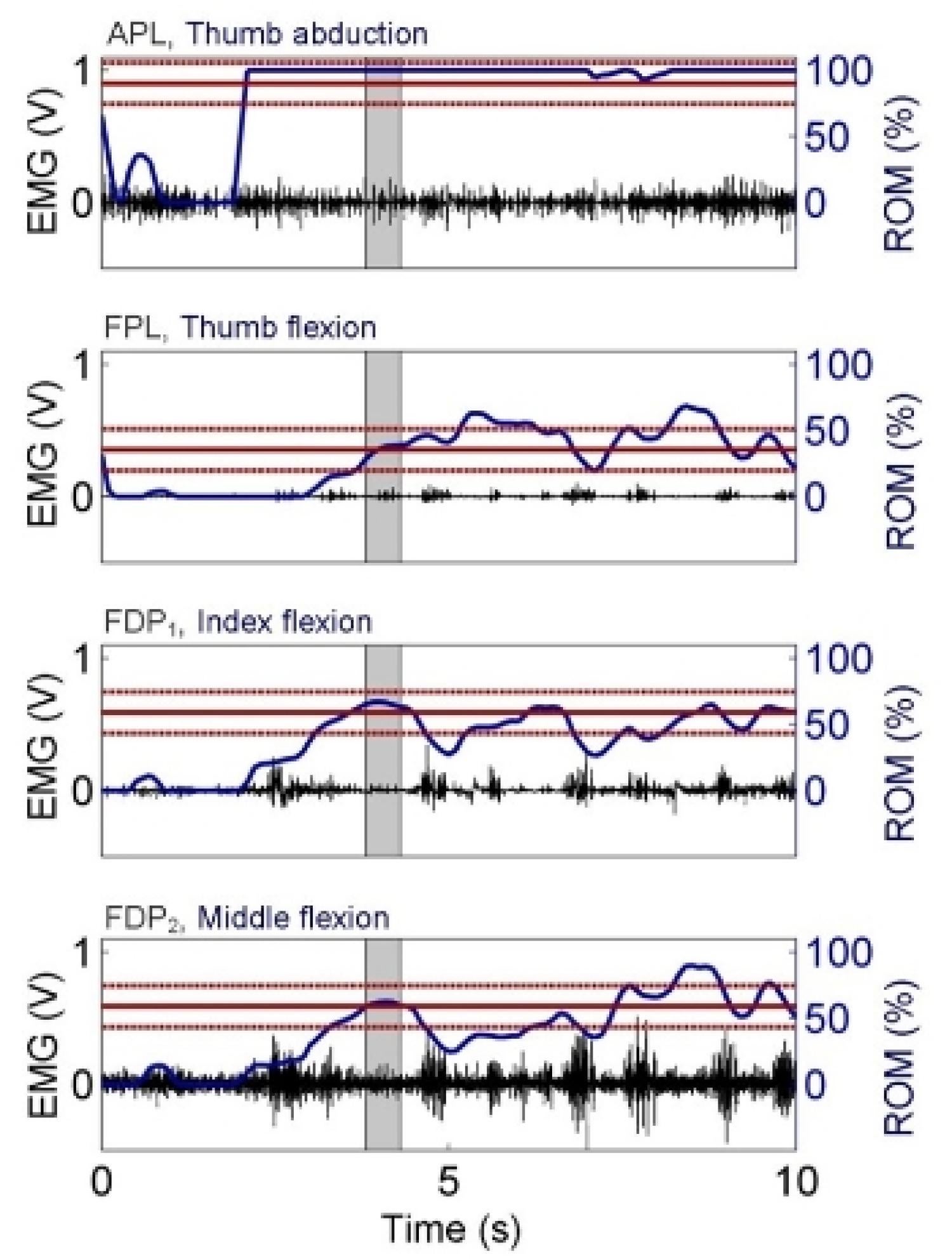 Data from four intramuscular electrodes. The first is thumb abduction which has a high ROM %. The second is FPL thumb flexion hovers around 50 ROM%.. The third is FDP index flexion which also hovers around 50% ROM. The fourth is middle flexion which starts lower but ends around 70%.