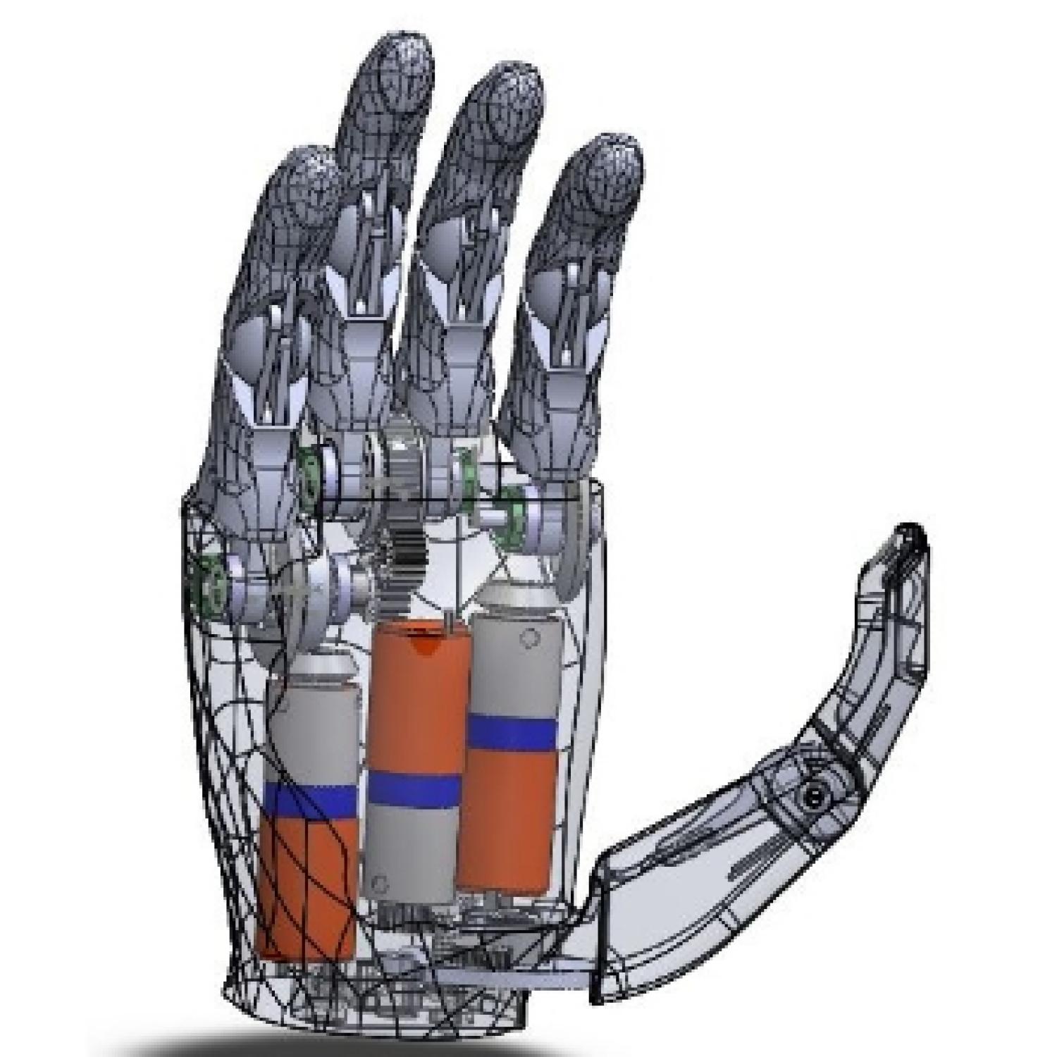3D model of a prosthetic hand showing the actuators inside