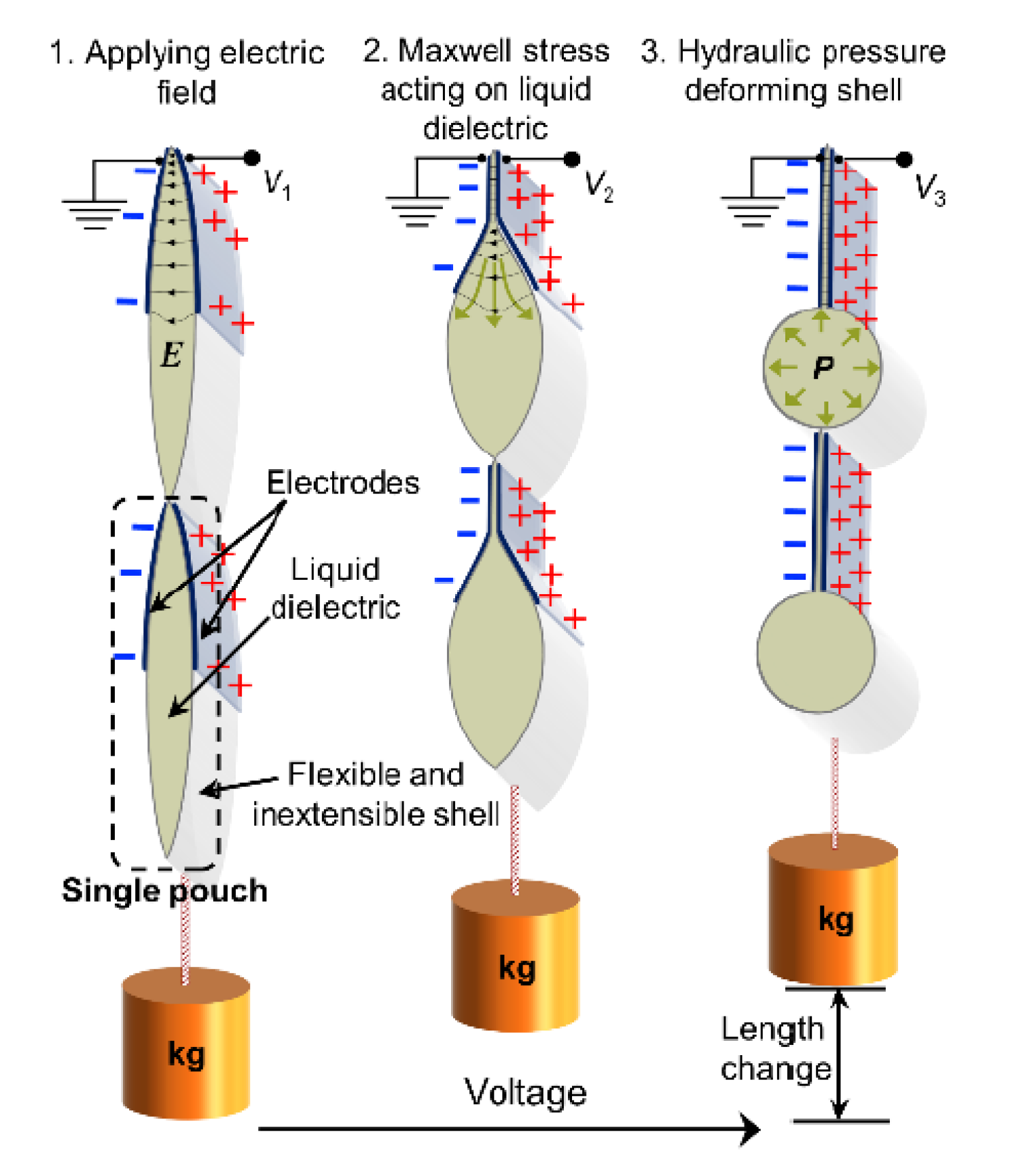 Diagram comparing voltage and length change of different sources of stress.