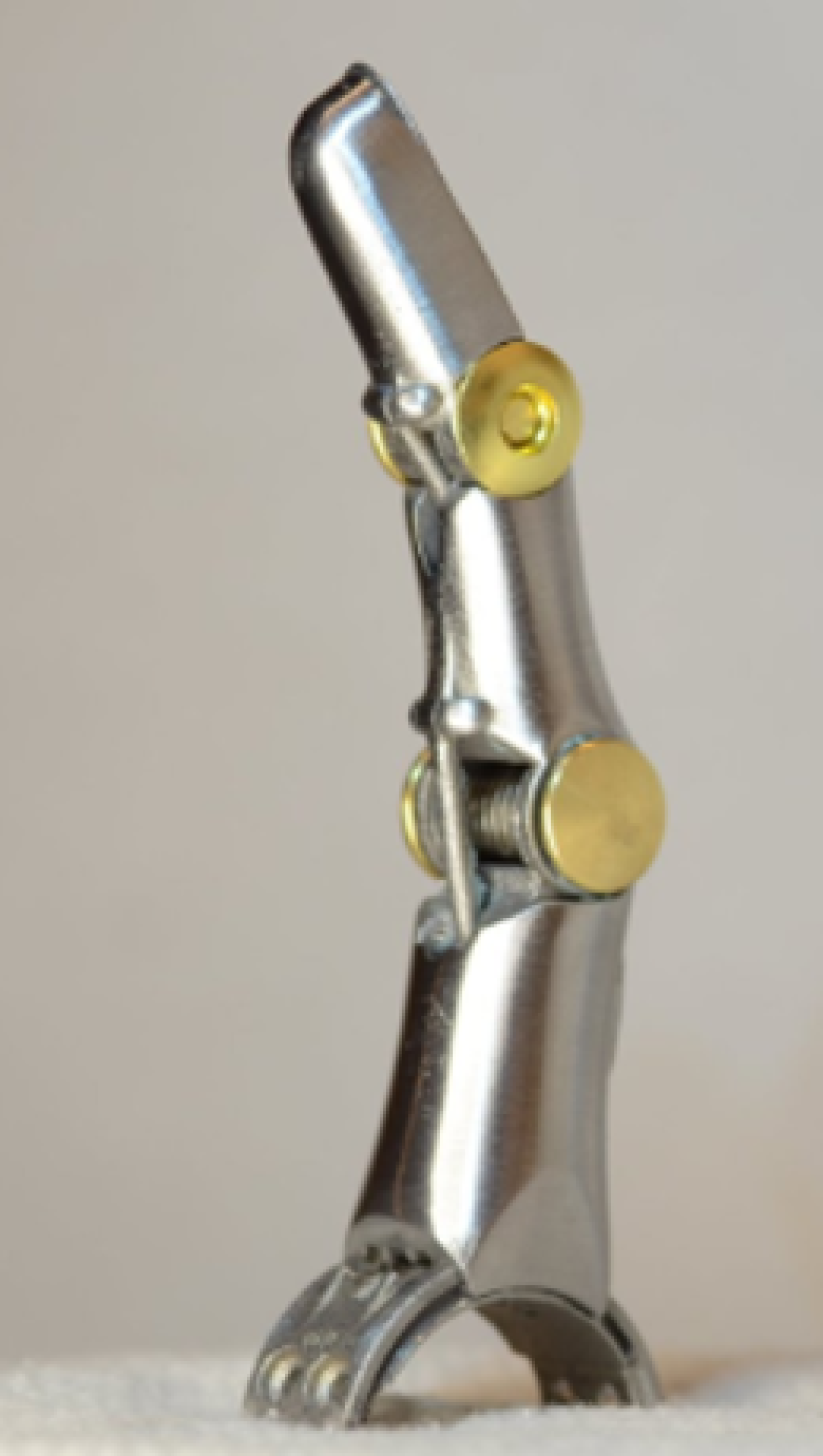 A prosthetic pointer finger.