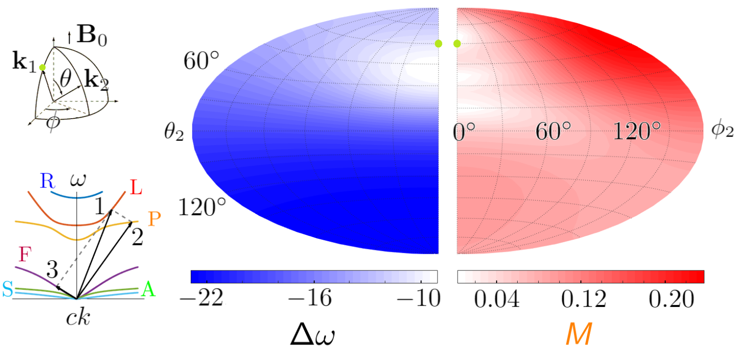 Scattering map in a magnetized plasma