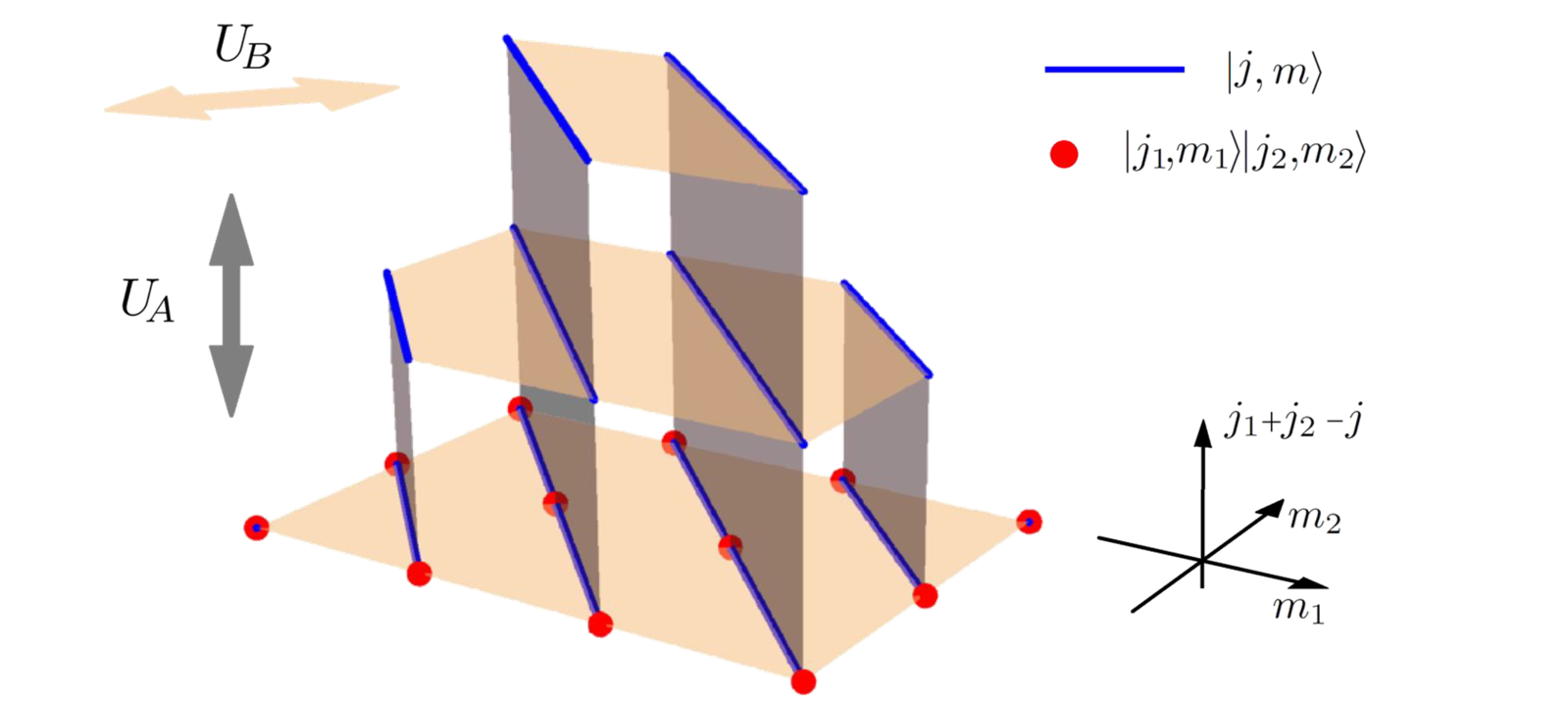 Quantum walk on J1-J2 lattice