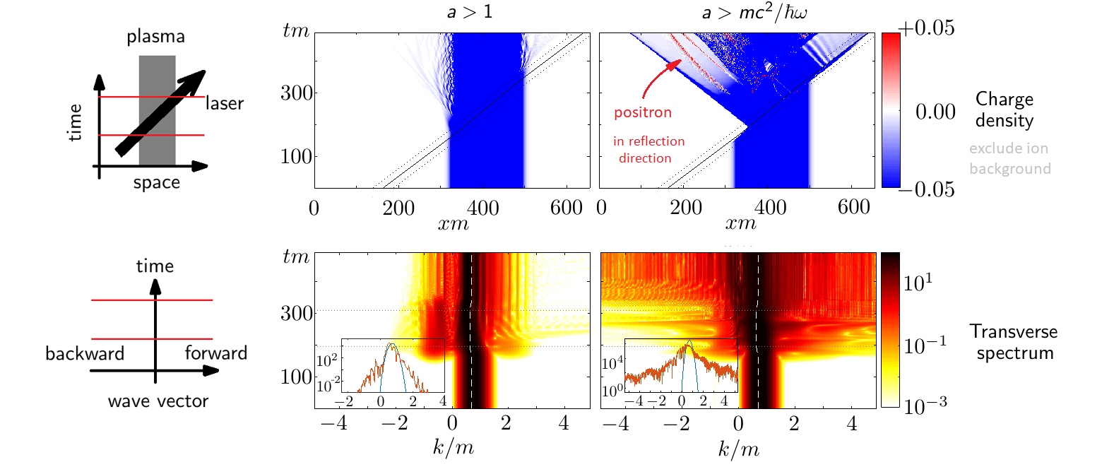 Lattice QED simulation of laser-plasma interactions