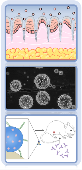 Drug Delivery