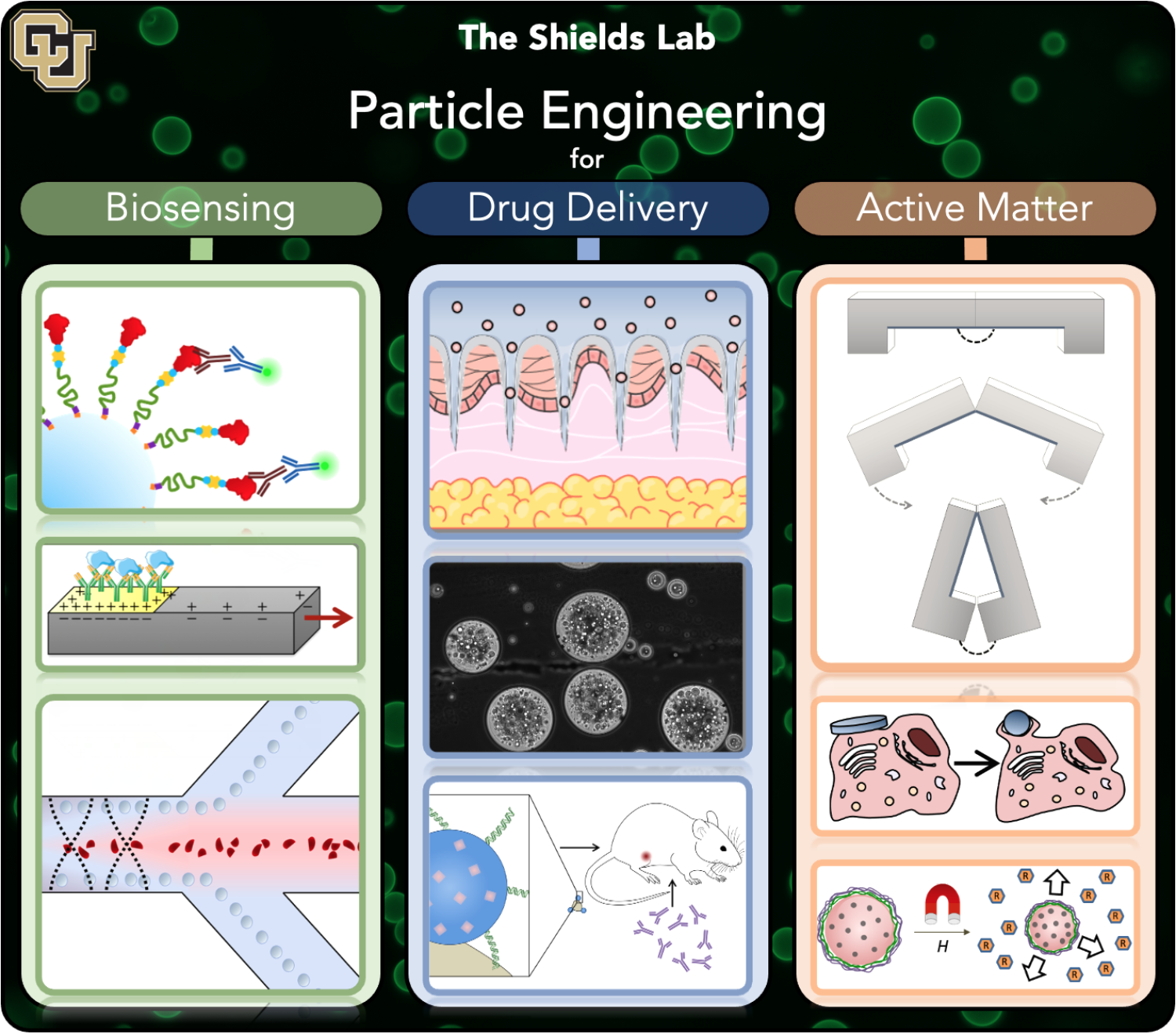 Research Overview