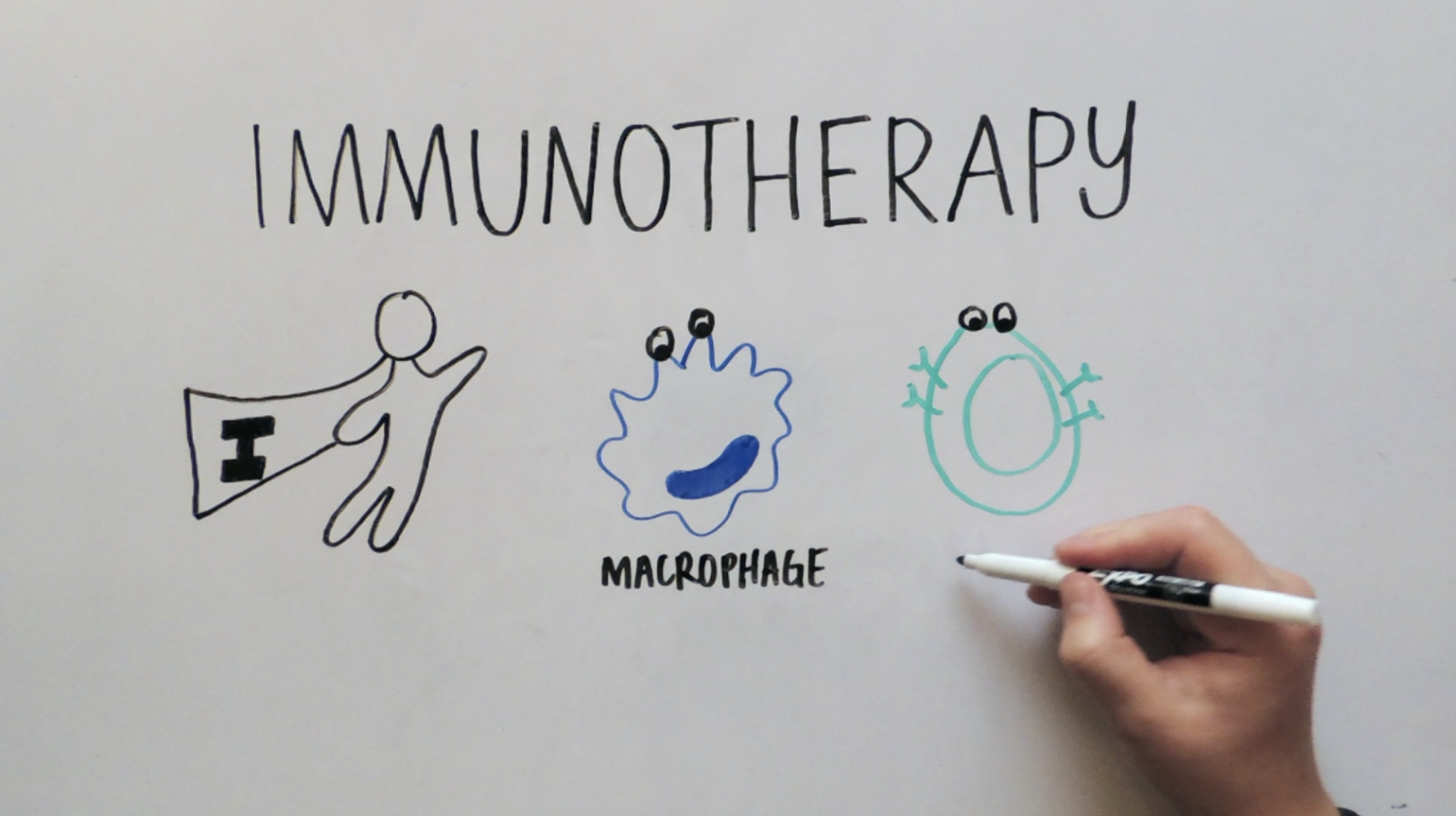 whiteboard video